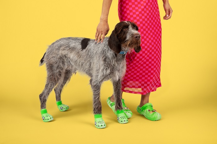 크록스, 팬들의 상상력을 실현시키는 ‘크록토버’ 축제 전개 27-Image